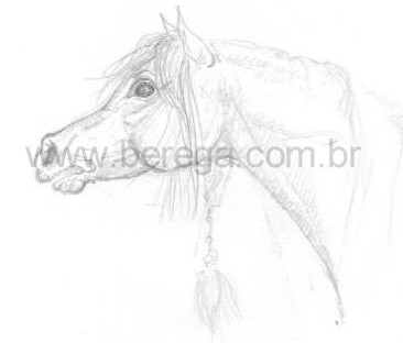 Desenhos e Esboços - Berega